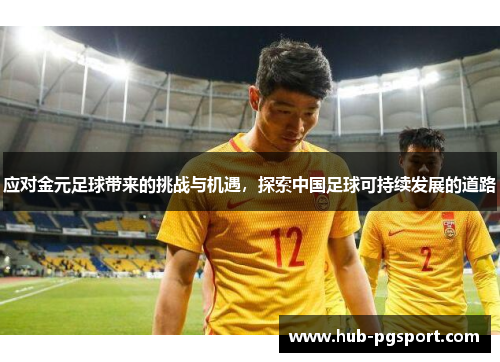 应对金元足球带来的挑战与机遇，探索中国足球可持续发展的道路