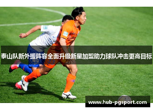 泰山队新外援阵容全面升级新星加盟助力球队冲击更高目标