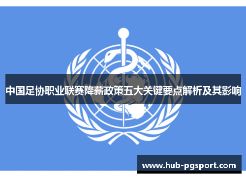 中国足协职业联赛降薪政策五大关键要点解析及其影响