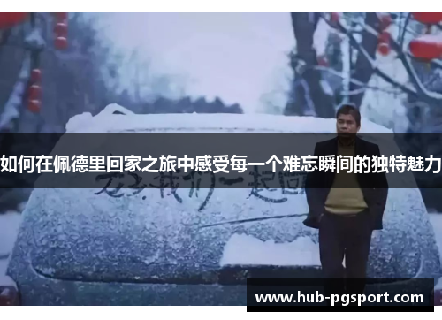 如何在佩德里回家之旅中感受每一个难忘瞬间的独特魅力