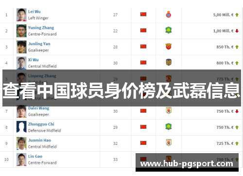 查看中国球员身价榜及武磊信息
