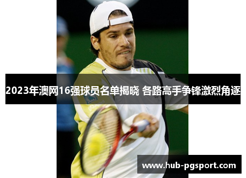2023年澳网16强球员名单揭晓 各路高手争锋激烈角逐