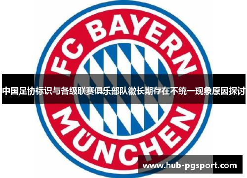 中国足协标识与各级联赛俱乐部队徽长期存在不统一现象原因探讨